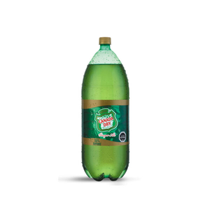 BEB GINGER ALE PET X  LTS 