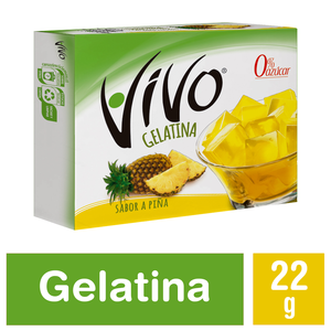 GELATINA VIVO PIÑA  X  GRS 