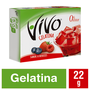 GELATINA VIVO BERRIES  X  GRS 