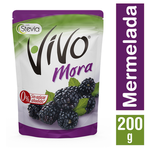 VIVO MERMELADA MORA X  GR 