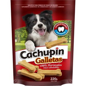 CACHUPIN SNACK GALLETA  GR 