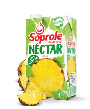 NECTAR SORPOLE UHT PINA    X  LTX