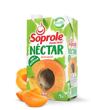 NECTAR SOPROLE UHT DAMASCO  X LT