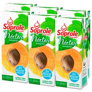 NECTAR SOPROLE SIX PACK DAMASCO X  CC