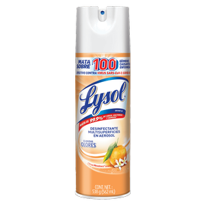 LYSOL AEROSOL CITRUS MEADOWS X  G