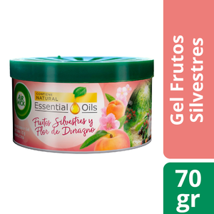 AIRWICK AROMATIZANTE GEL FRUTOS  GR